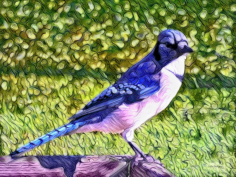 Blue Jay Posing Pretty Photograph by Leslie Montgomery