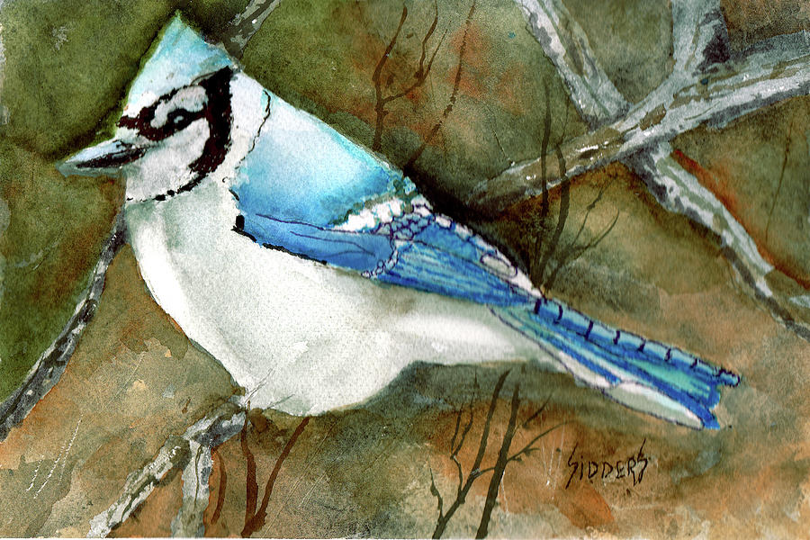 Blue Jay Painting by Sam Sidders