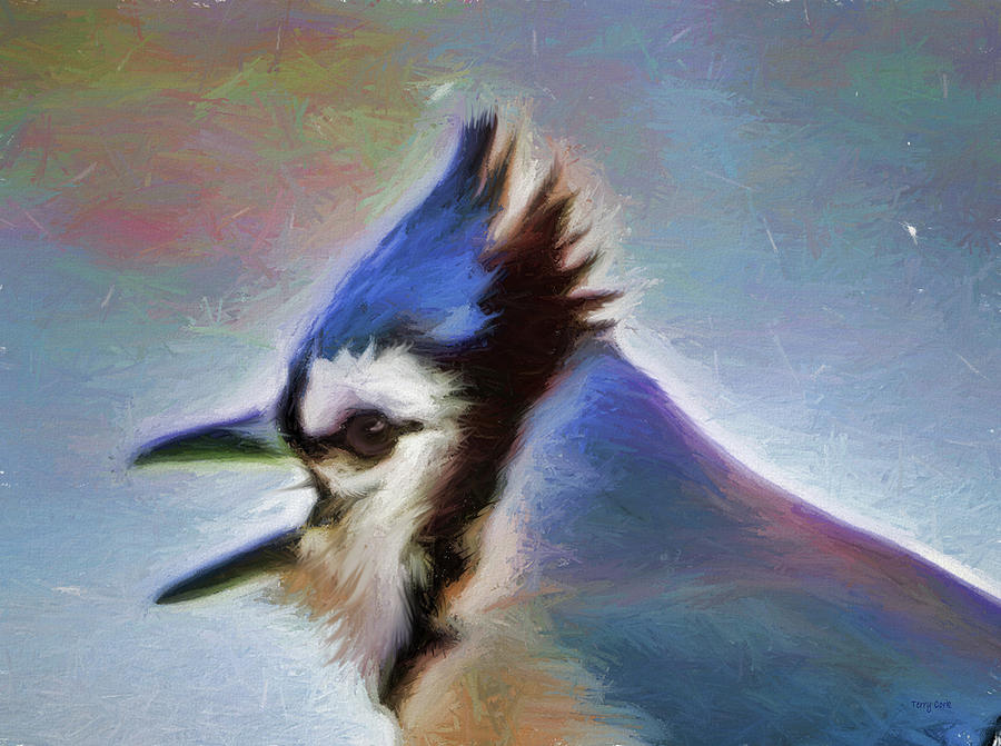 Blue Jay Screaming Digital Art by Terry Cork