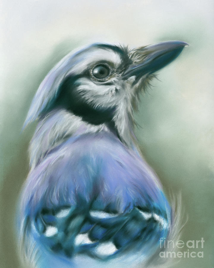 Blue Jay Songbird Portrait Painting by MM Anderson