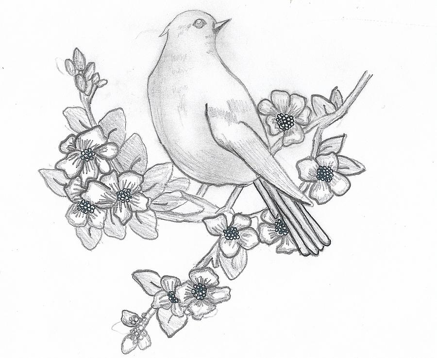 Black and White Blue Jay Sticker for Sale by Pencil-Art