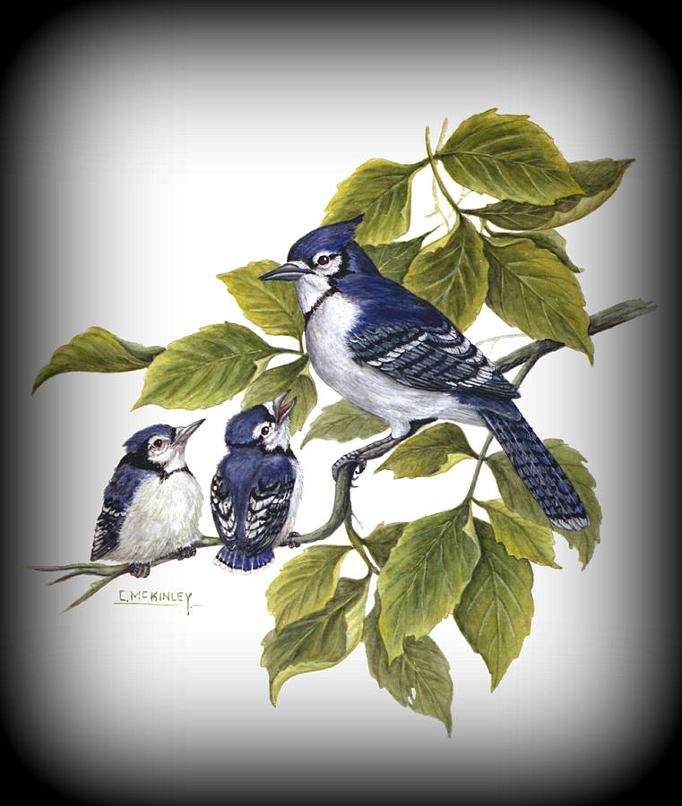 Blue Jay With Babies Painting by Carl McKinley