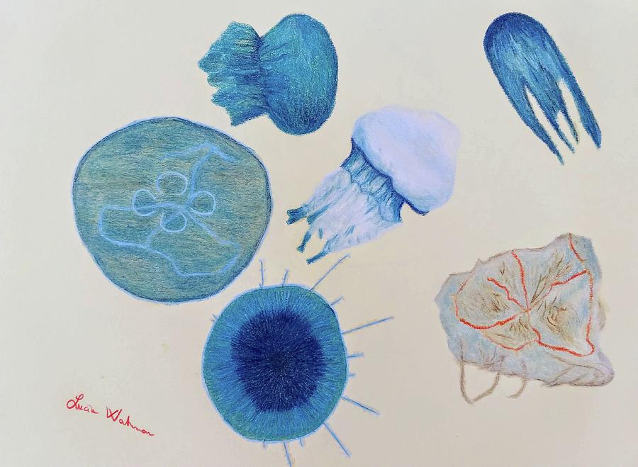 Nature Drawing - Blue jellyfish by Lucia Waterson