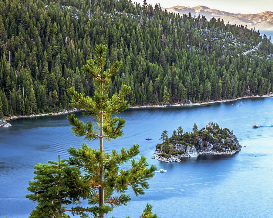 Tree Photograph - Blue Lake Tahoe Waters And Fannette Island In Emerald Bay by Gregory Ballos