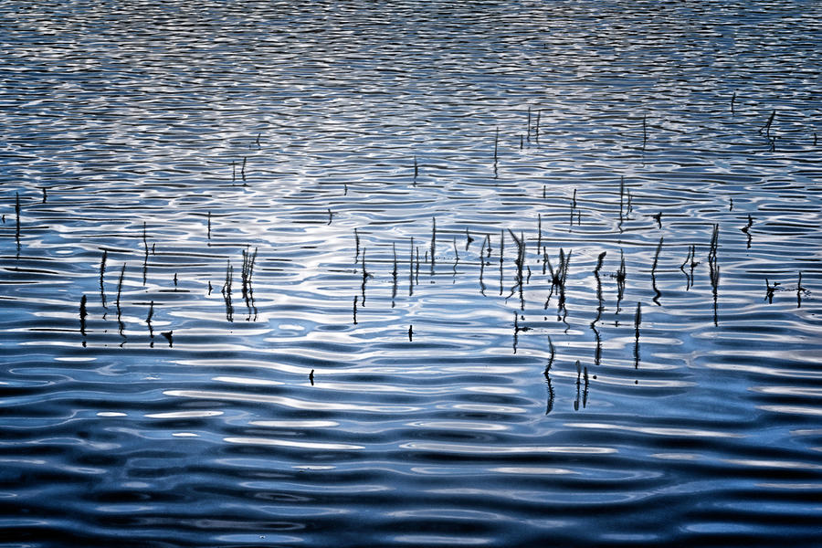 Blue lake Photograph by Wolfgang Stocker