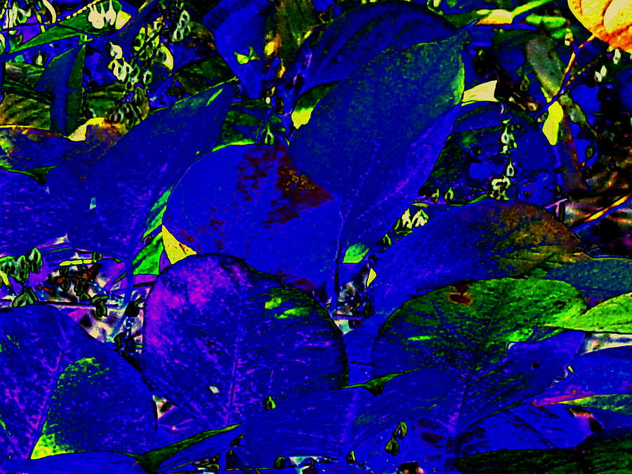Blue Leaves Digital Art by Cliff Wilson