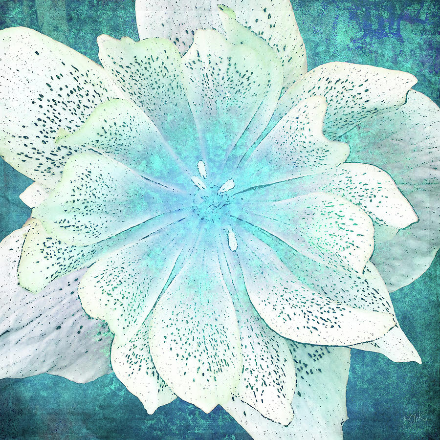 Blue Lenten Rose Digital Art by Barbara Mierau-Klein
