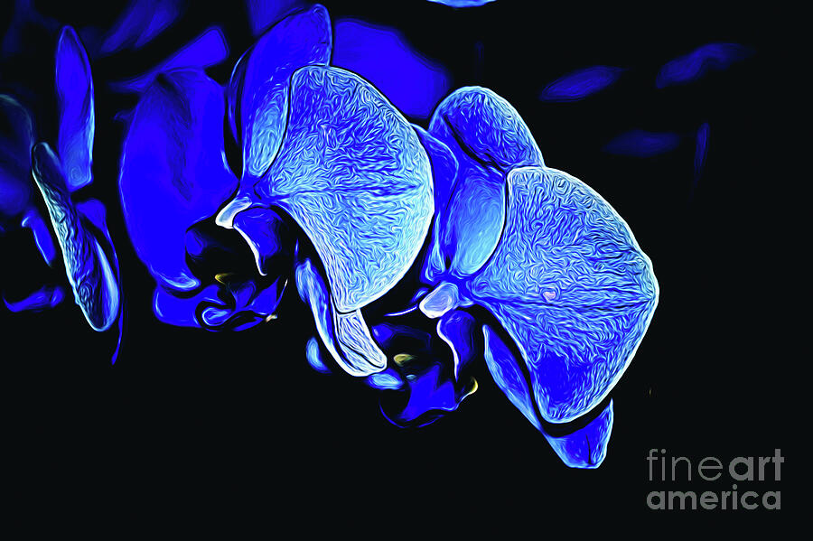 Abstract Photograph - Blue Light by Diana Mary Sharpton