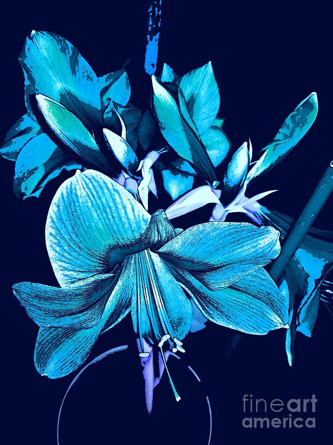 Blue lily Digital Art by Lennon DaBreo - Fine Art America