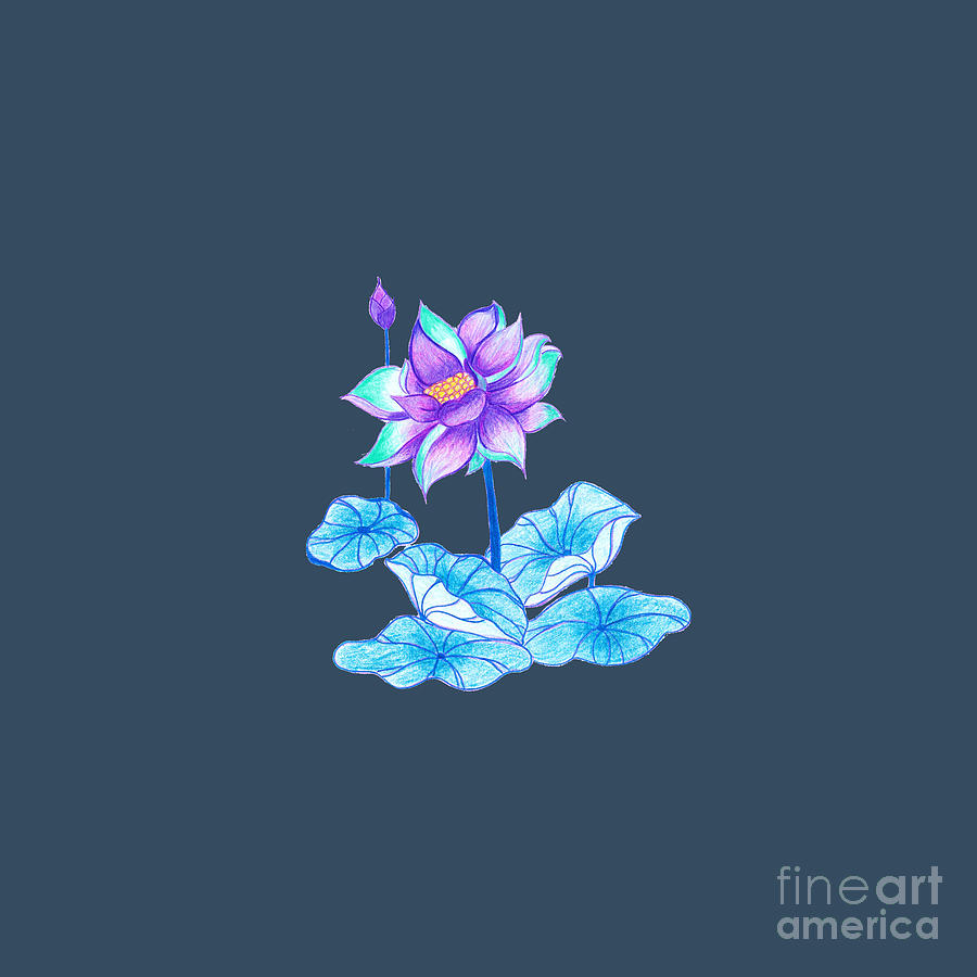 Blue Lotus Drawing by Alessia Green Fine Art America