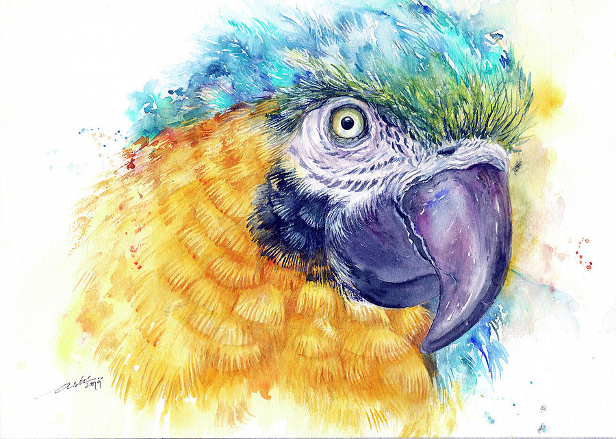 Blue Macaw Painting by Arti Chauhan