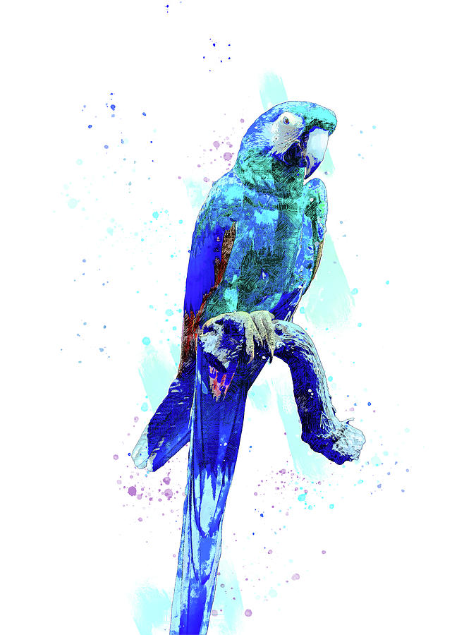 Blue Macaw Sitting on Perch Mixed Media by Pamela Williams