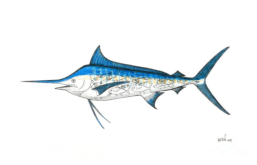 Blue Marlin - You Are What You Eat Pastel by Graham Wallwork - Fine Art ...