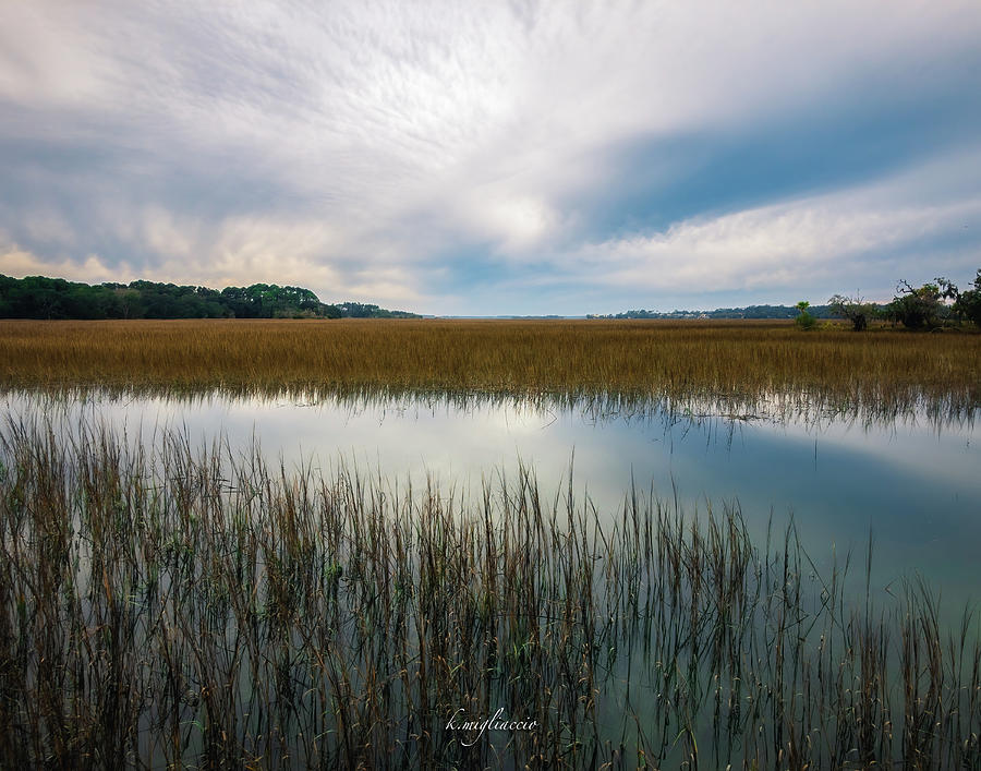 Blue Marsh in Winter Photograph by Karen Migliaccio Fine Art America