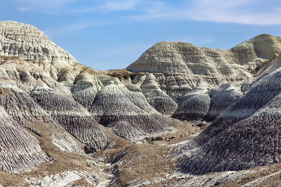 Blue Mesa Badlands Photograph by James Marvin Phelps