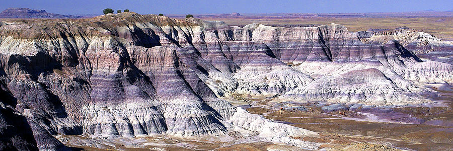 Petrified Forest National Park Photograph - Blue Mesa Panorama by Douglas Taylor