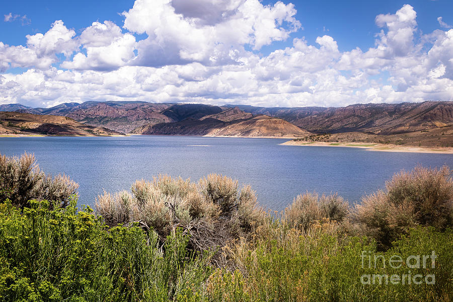 Blue Mesa Reservoir Photograph by Courtney Eggers