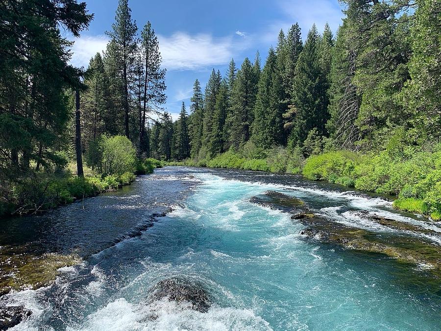 Blue Metolious Photograph by Brian Eberly