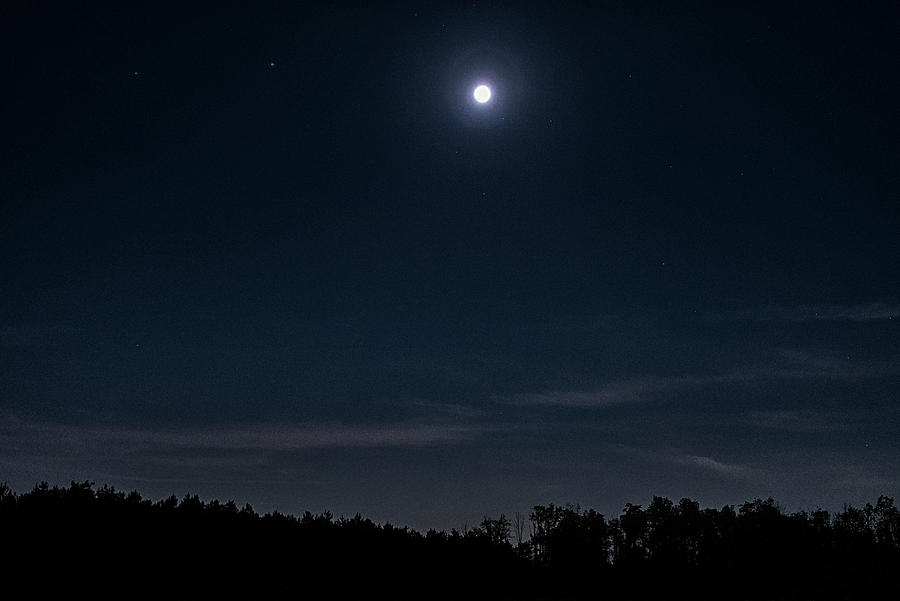Blue Midnight Photograph by Robert Fawcett