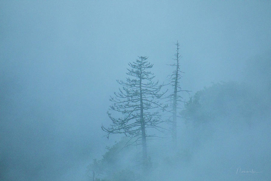 Blue Mist Photograph by Nunweiler Photography