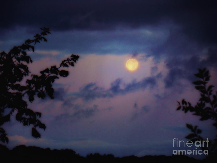 Blue Moon Photograph by AnnMarie Parson-McNamara
