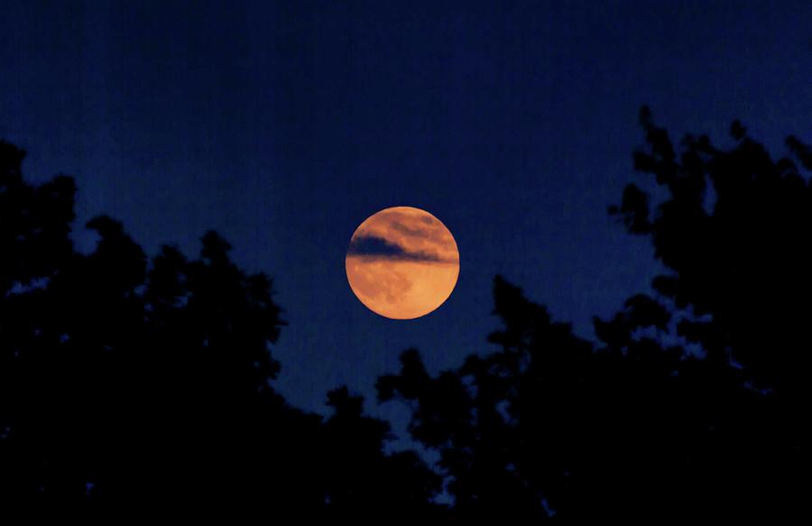 Blue Moon Photograph by Courtney Webster