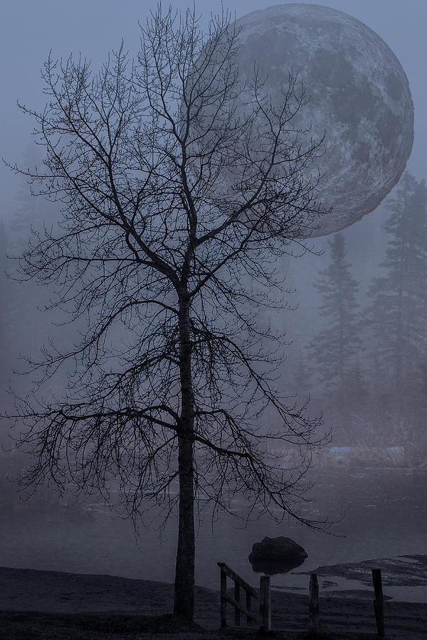 Blue Moon Photograph by Linda Ryma
