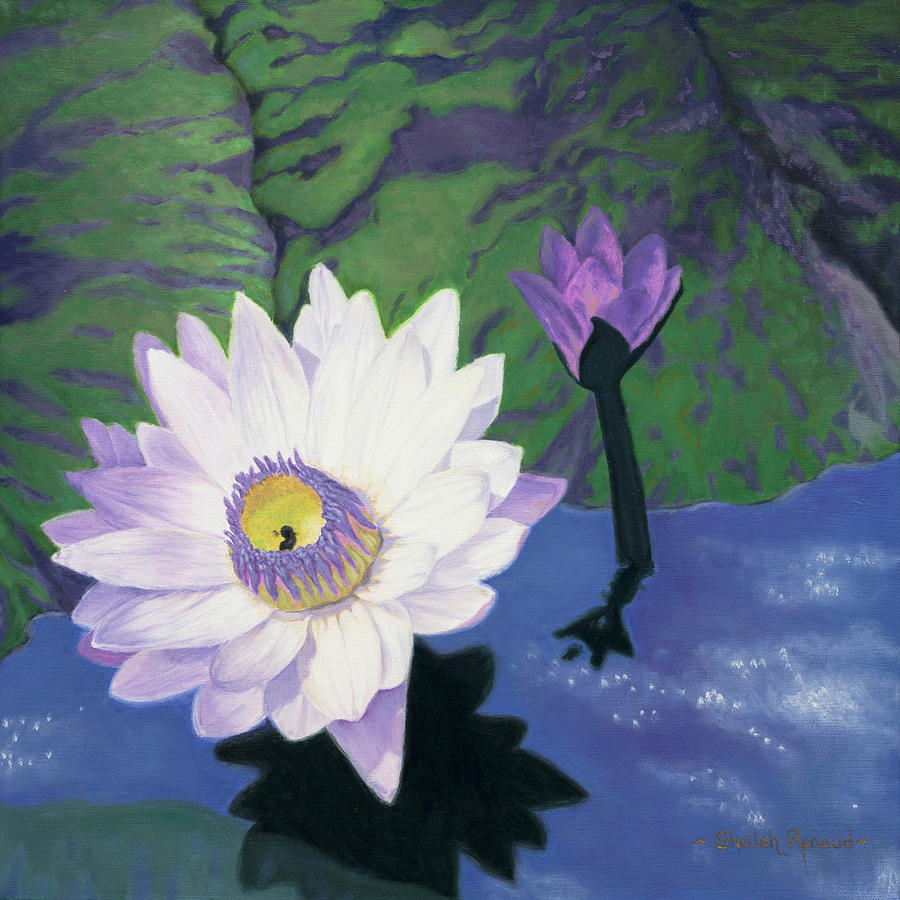 Blue Moon Lotus Painting by Sheilah Renaud