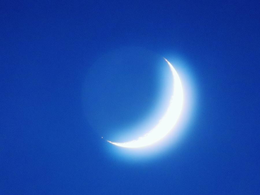Blue Moon Photograph by Michelle Hauge
