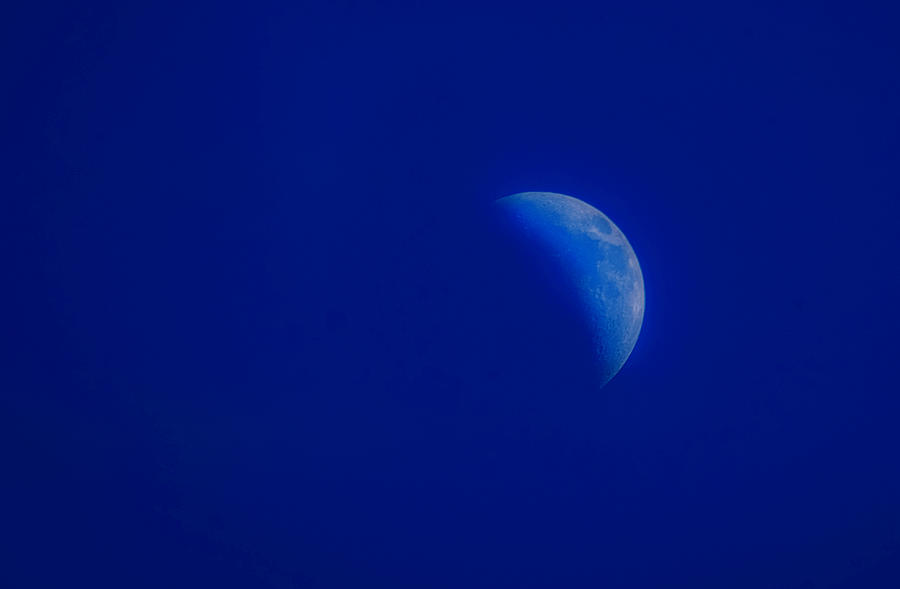 Blue Moon Photograph by Nicole Engstrom
