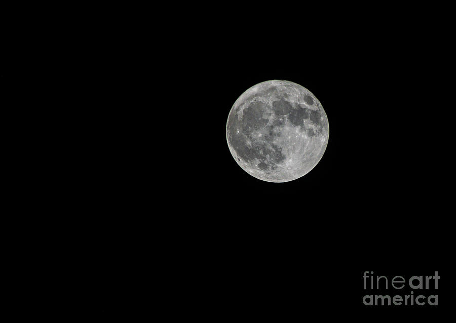 Blue Moon Photograph by Nina Ficur Feenan