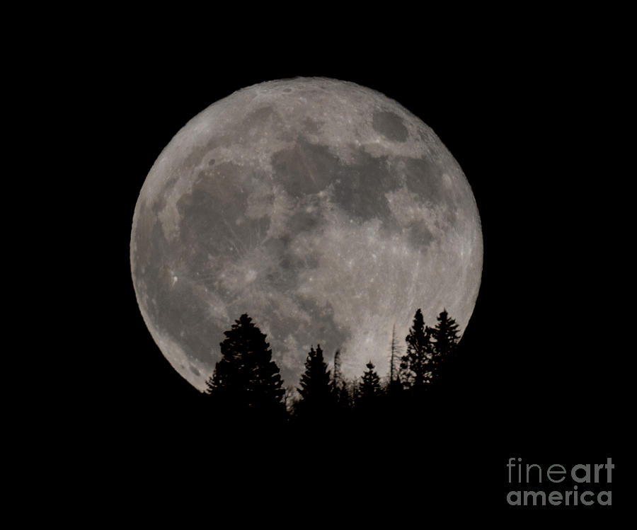 Blue Moon Over Colorado Photograph by Steven Krull
