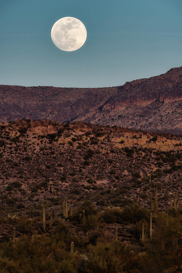 Blue Moon Over The Sonoran Photograph by Saija Lehtonen