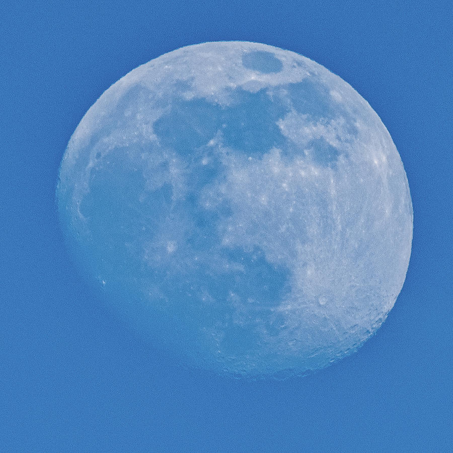 Blue Moon Photograph by Rainer Kersten