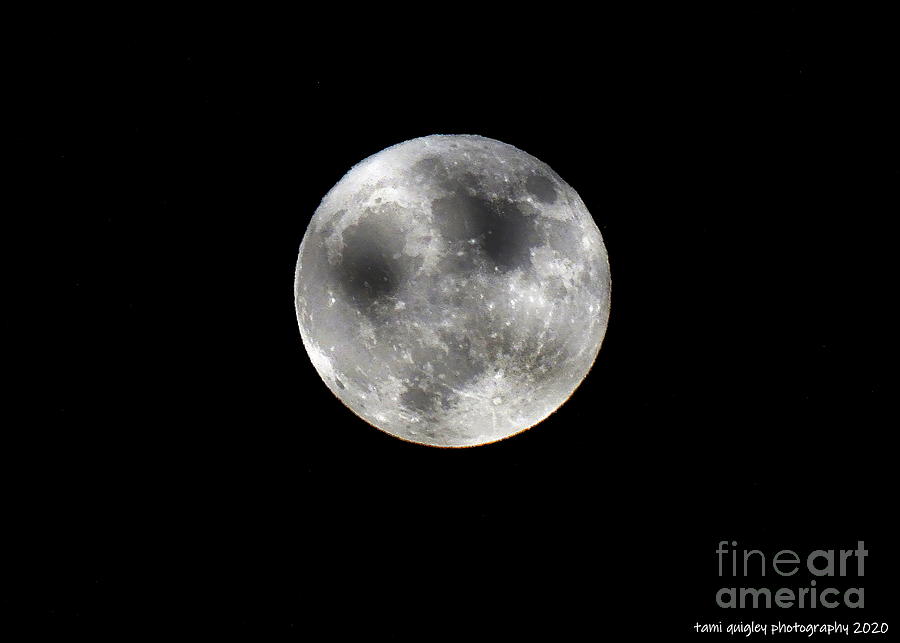 Blue Moon Risin Photograph