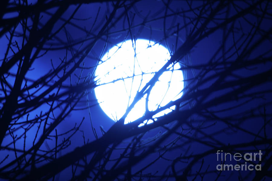 Full Moon Photograph - Blue Moon Rising by Terry Elniski