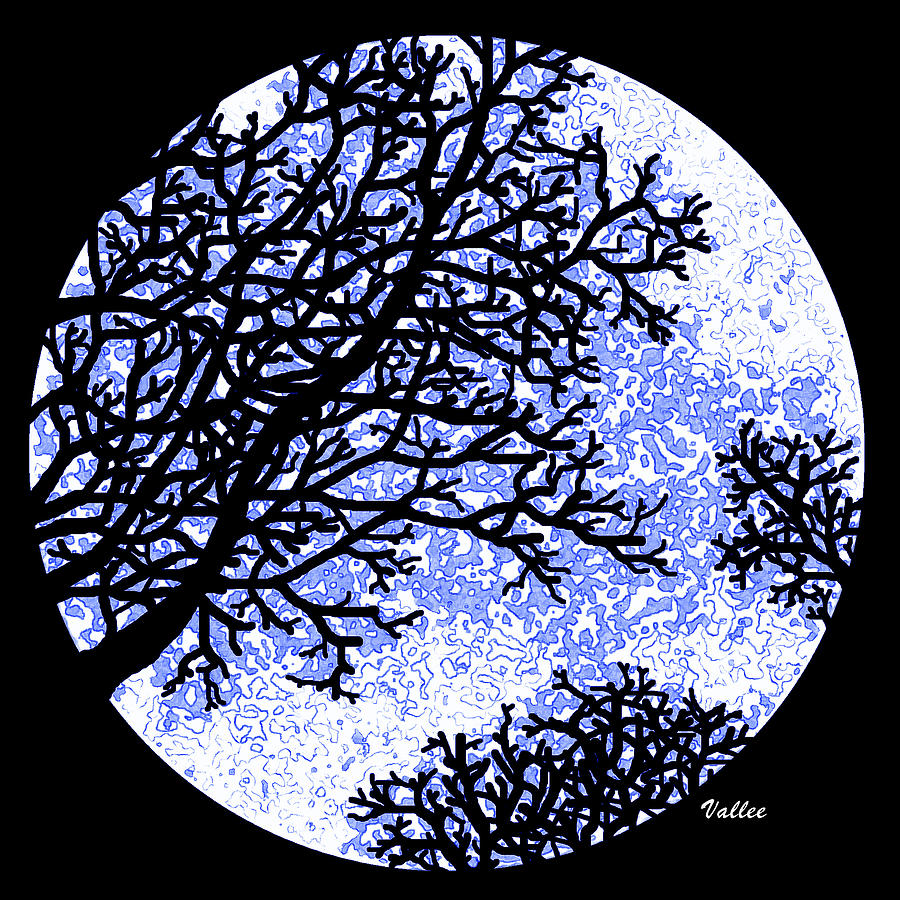 Blue Moon Painting by Vallee Johnson