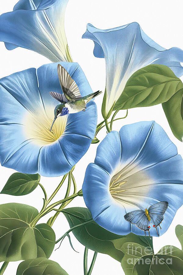 Blue Morning Glory 3 Painting by Tina LeCour Blue Morning Glory 3 Painting by Tina LeCour