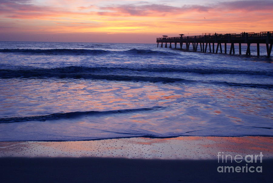 Blue Morning Jax Photograph by Darcy Leigh