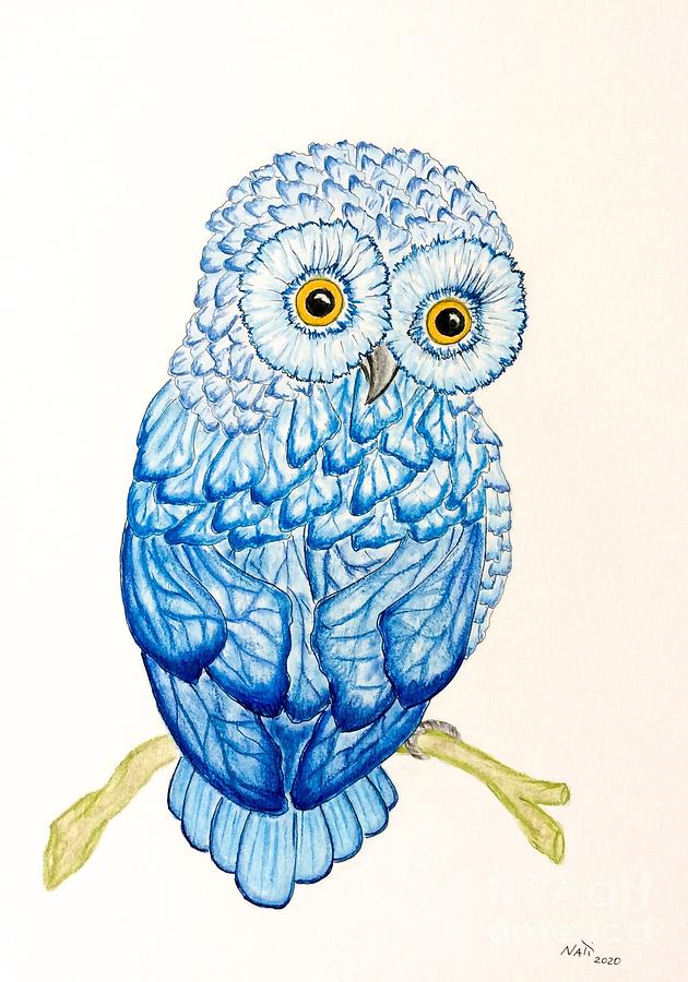 Blue Morph Baby  Owl  Pastel by Natalia Wallwork