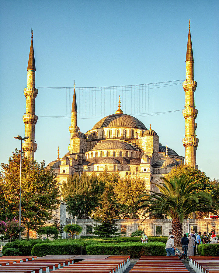 Blue Mosque Photograph by Alan Toepfer
