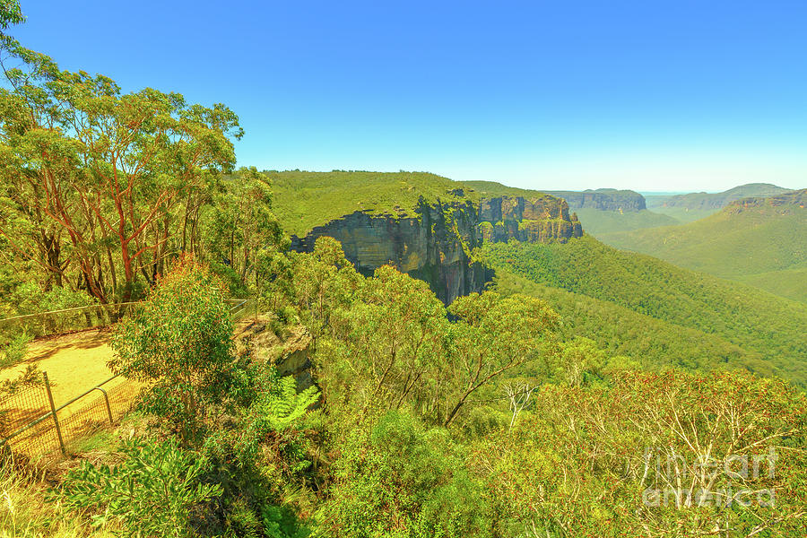 Blue Mountains landscape Photograph by Benny Marty