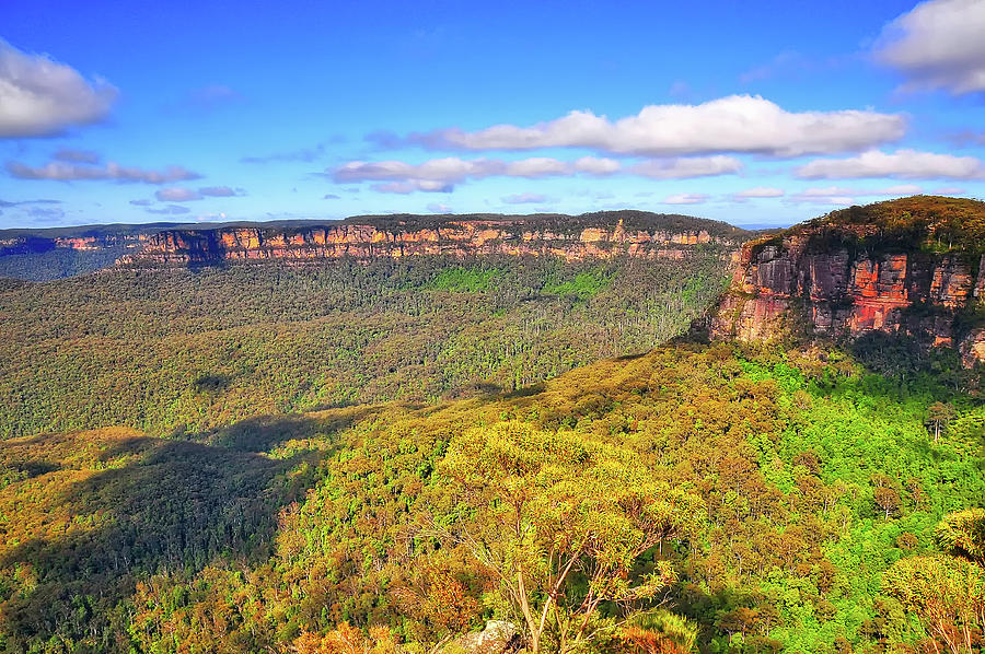 Blue Mountains Photograph by Robert Libby