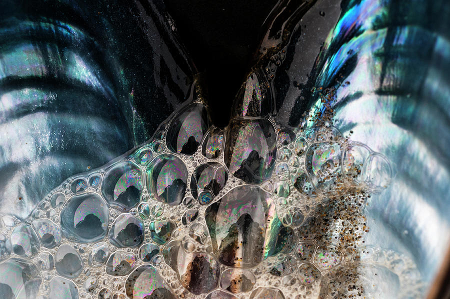 Blue Mussel Iridescence Photograph by Robert Potts