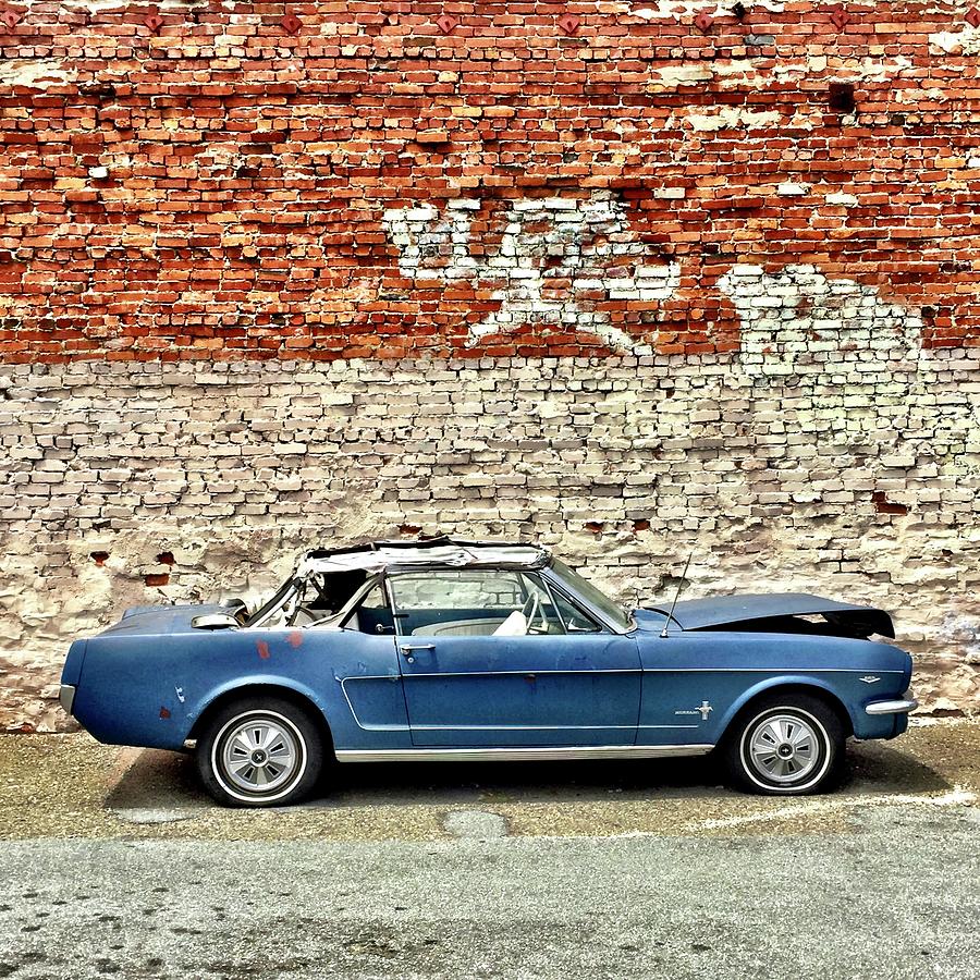 Blue Mustang Photograph by Julie Gebhardt