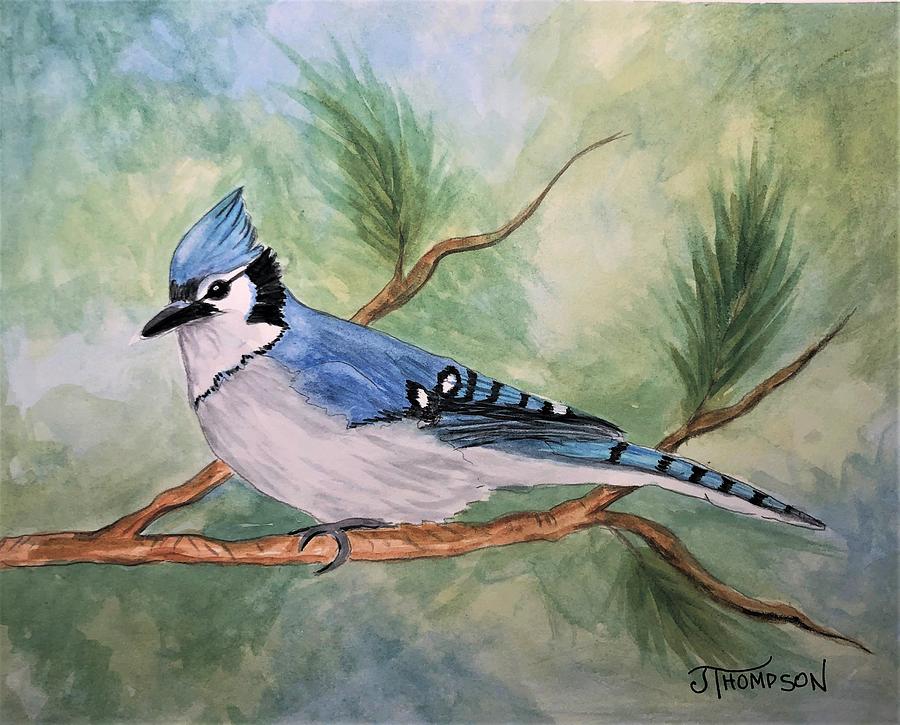 Blue Jay Painting - Blue My MInd by Judy Thompson