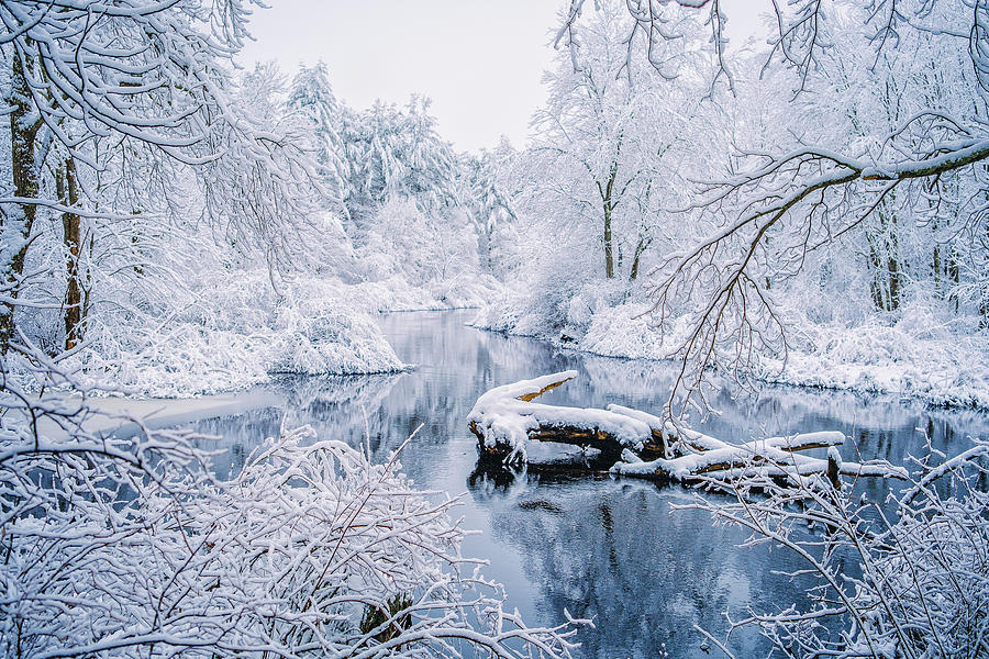Blue n White, Winter Along The Isinglass River.  Photograph by Jeff Sinon