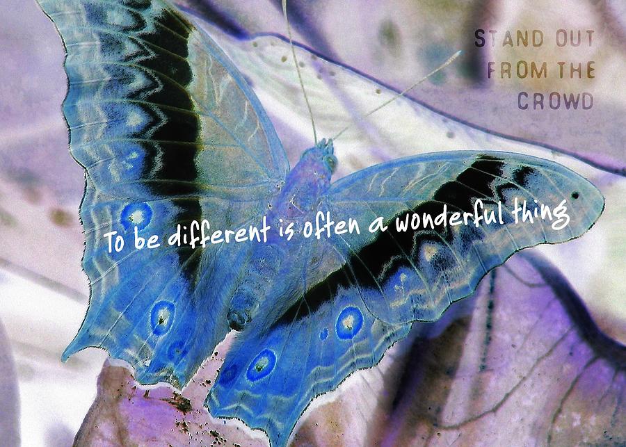 Butterfly Photograph - BLUE NEGATIVE quote by Jamart Photography
