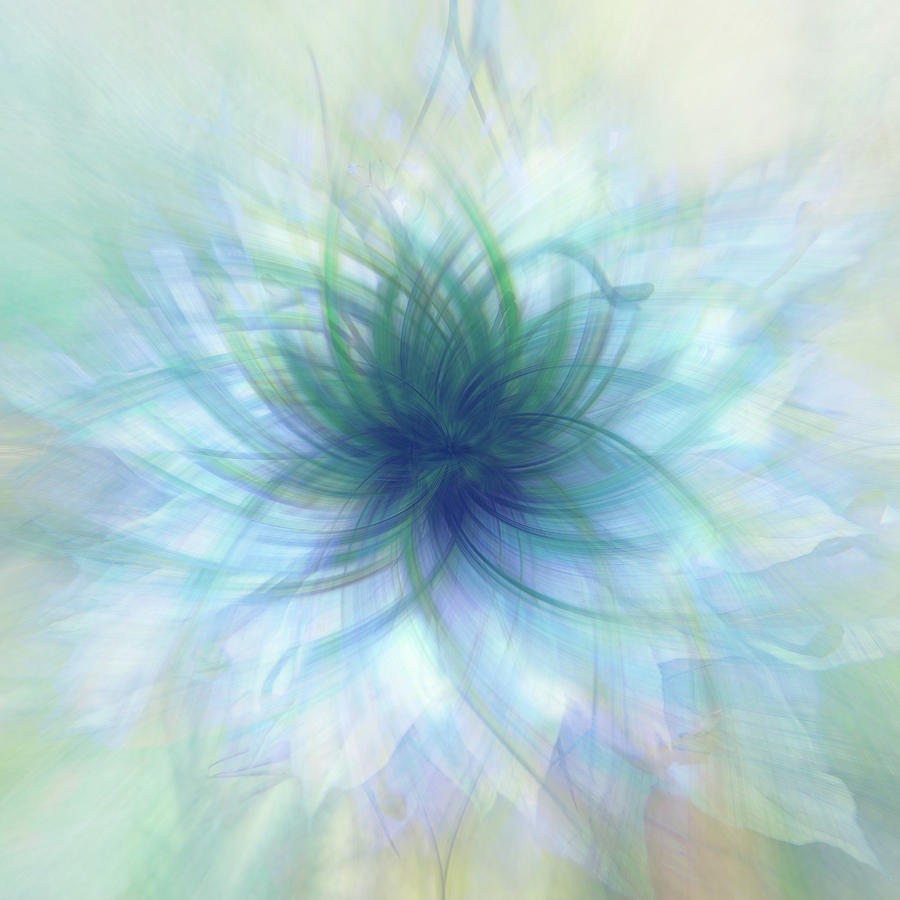Blue Nigella Twirl Digital Art by Terry Davis