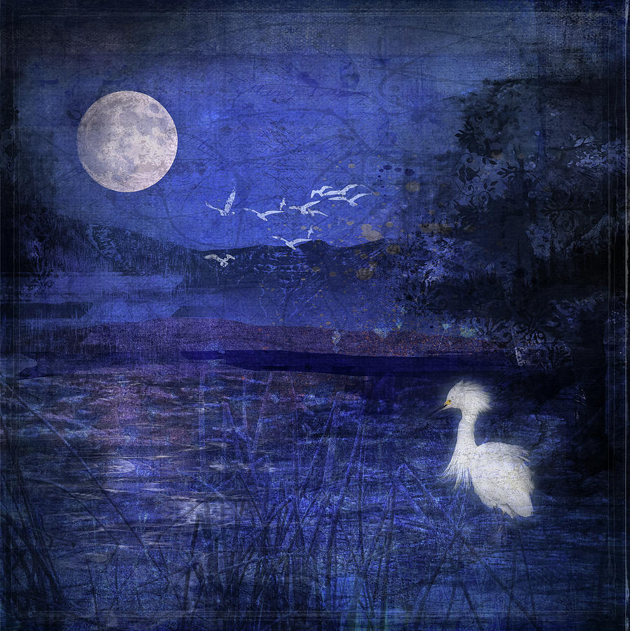 Blue Night Digital Art by Barbara Mierau-Klein